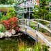 Beraria Park angajeaza,